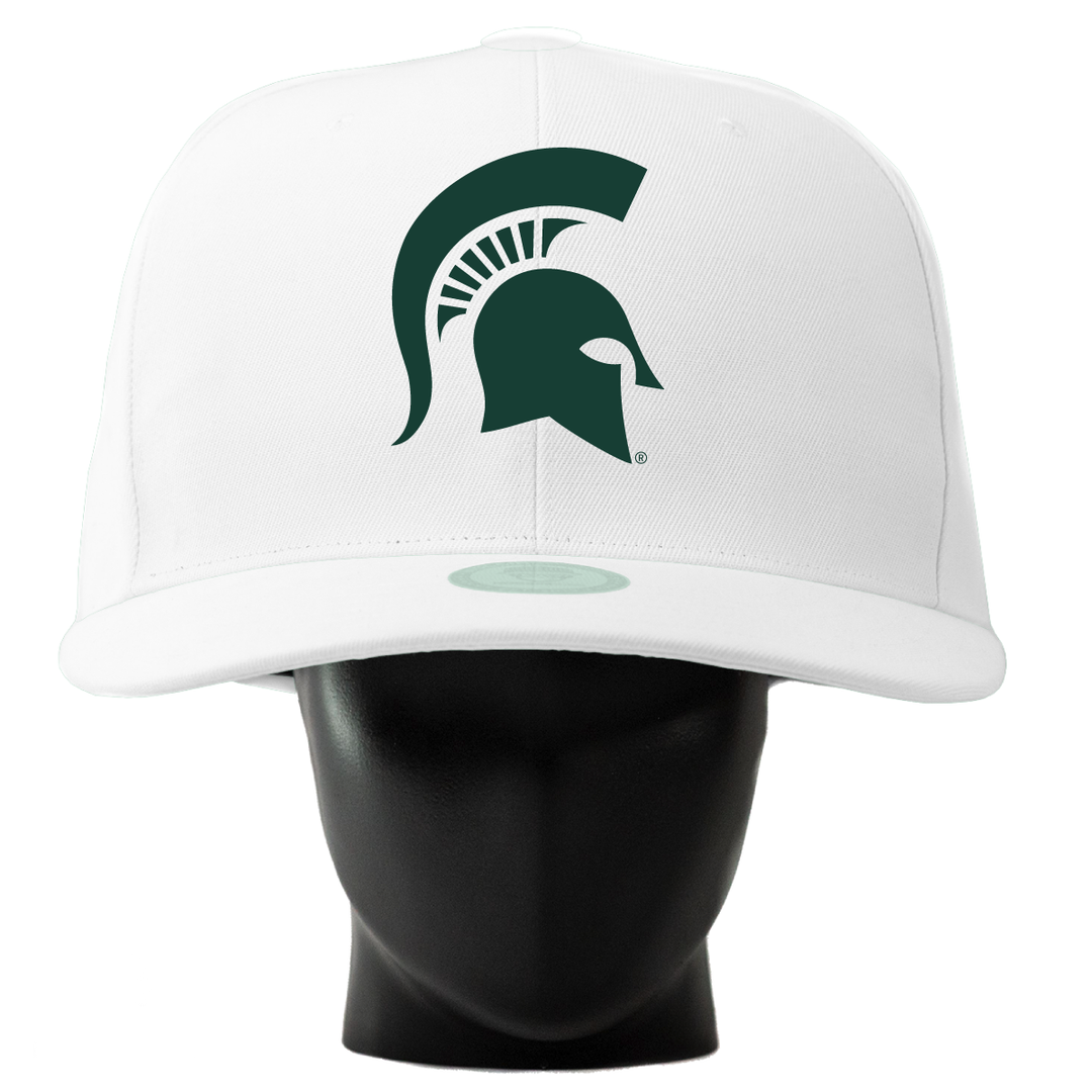 Michigan State Spartans Noggin