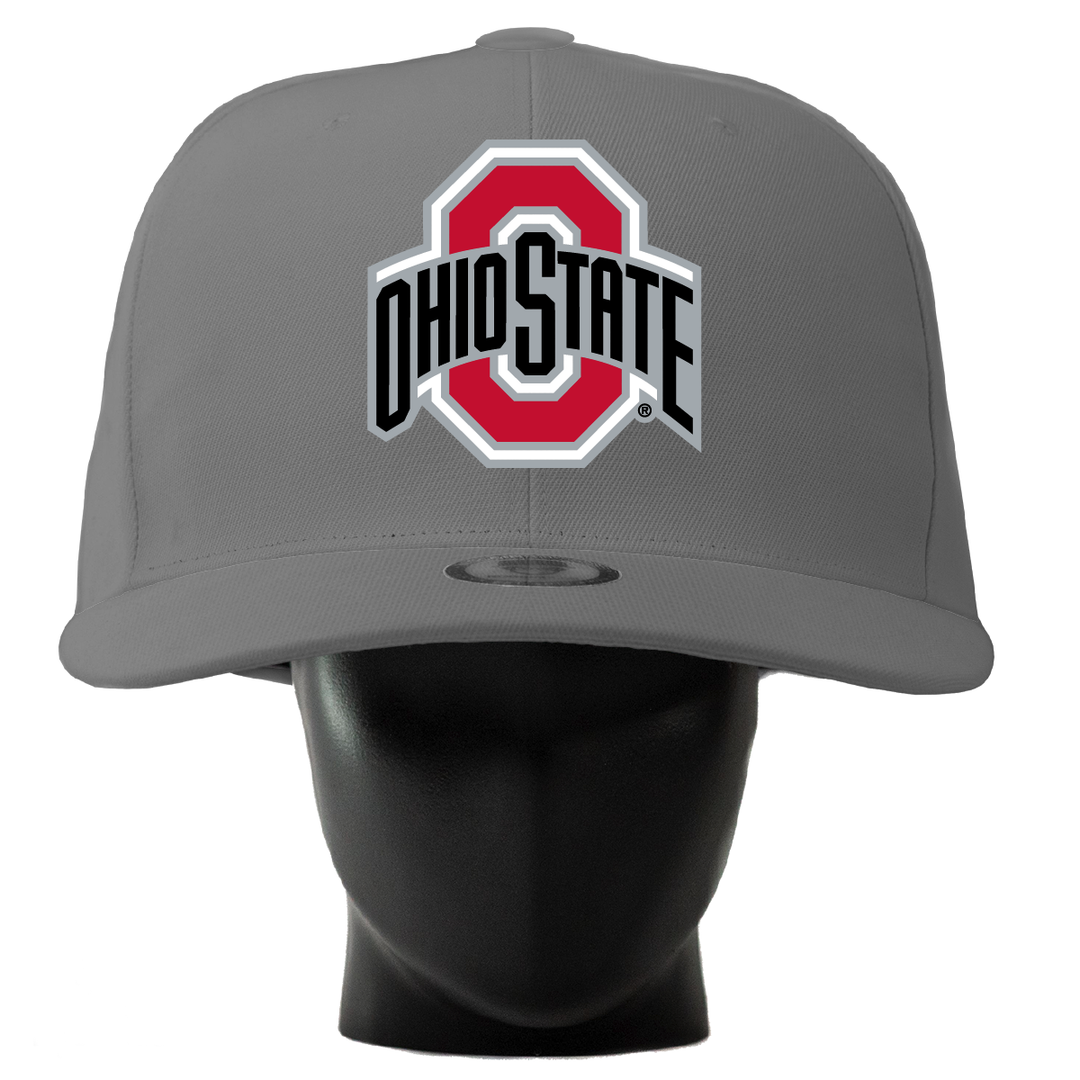 Ohio State Buckeyes Noggin