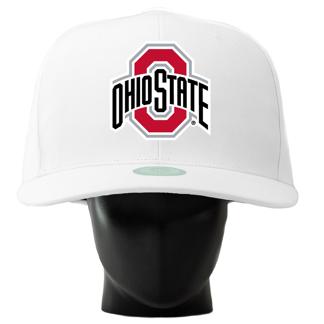 Ohio State Buckeyes Noggin