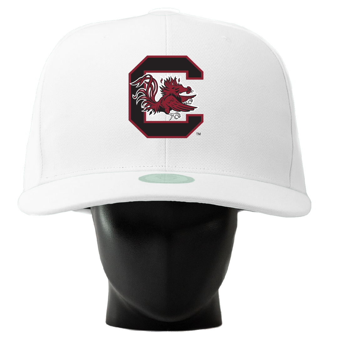 South Carolina Gamecocks Noggin