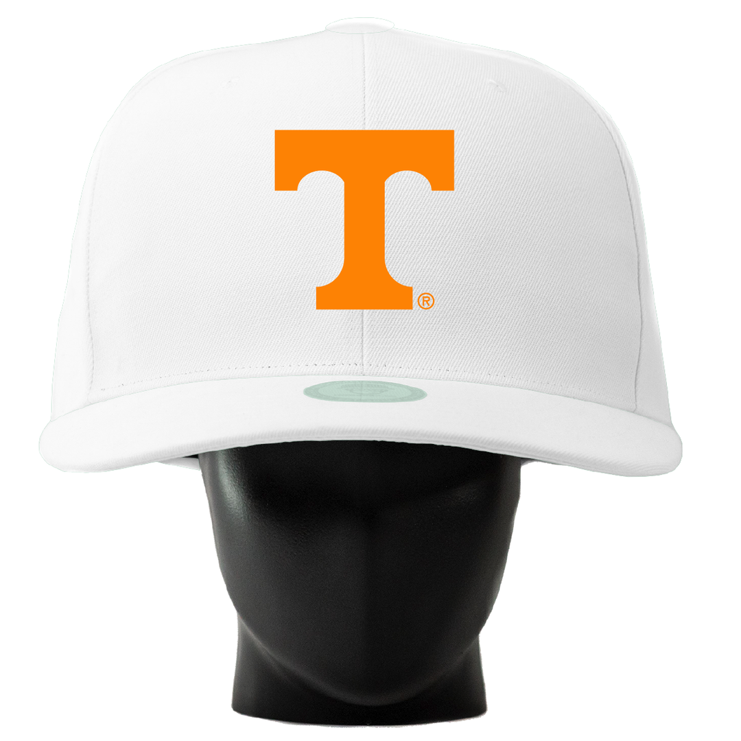 Tennessee Vols Noggin